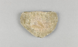 NA5063F