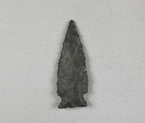 29-112-501