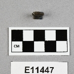 821039