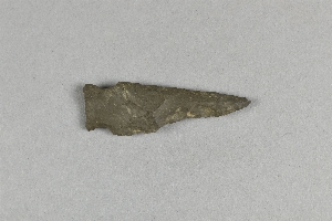 55-7-48