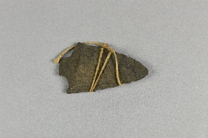 55-7-59