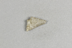 97-563-10169