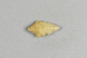 97-563-7619
