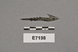 E7198