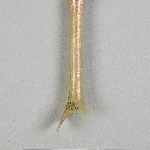 824691