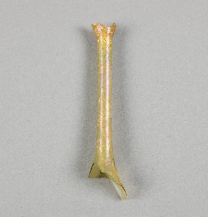 MS5069