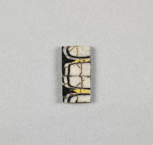 MS286