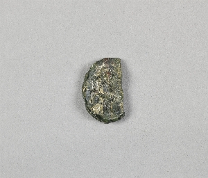 MS4079