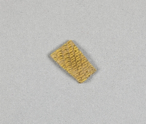 MS5389.10