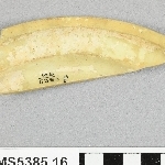 826251