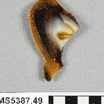 826491