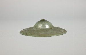 MS248