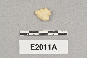 E2011A