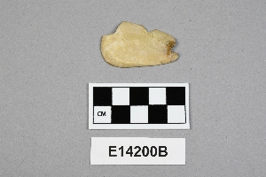 E14200B