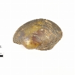 828560