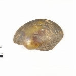 828563