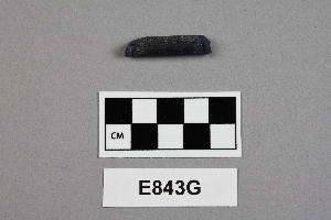 E843G