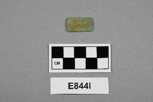 E844I