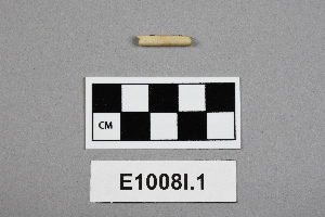 E1008I.1