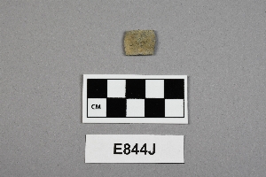 E844J