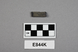 E844K