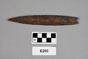 E290
