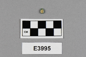 E3995