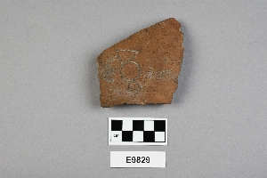 E9829