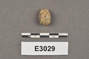 E3029