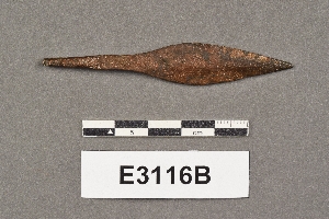 E3116B