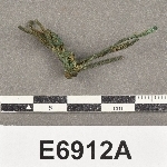831523