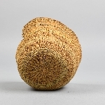 832081