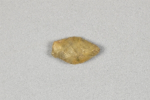 11064