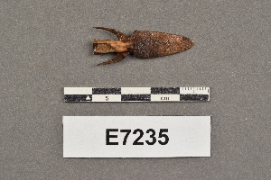 E7235