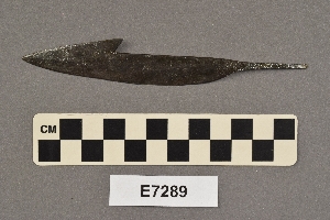 E7289