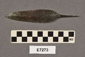 E7273