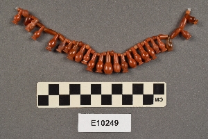 E10249