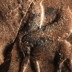 837014
