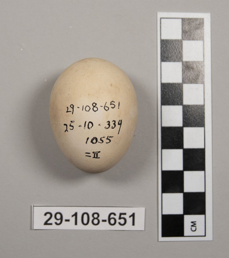 839590