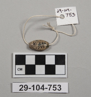 29-104-753