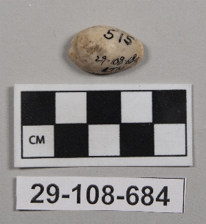 29-108-684