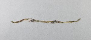 CG051191-2269