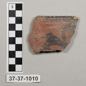 37-37-1010