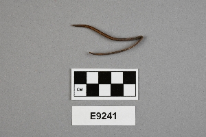 E9241