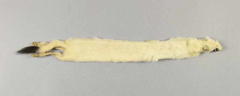 841429