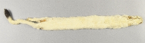 45-15-1727H