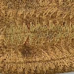841516