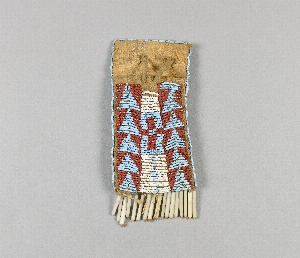 NA10778