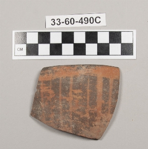 33-60-490C