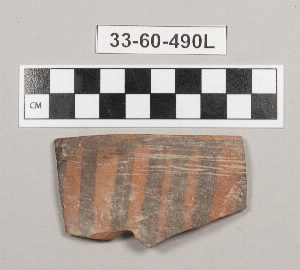 33-60-490L